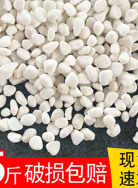 多肉铺面石水培白石子白色鹅卵石花盆养花装饰鱼缸铺底造景小石子