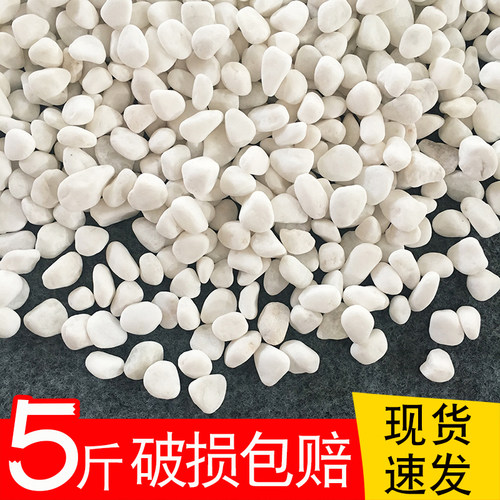 多肉铺面石水培白石子白色鹅卵石花盆养花装饰鱼缸铺底造景小石子