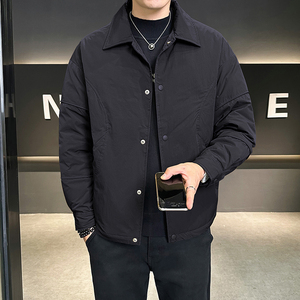 白鸭绒羽绒服男翻领纯色帅休闲百搭外套潮流YR800-P200图片