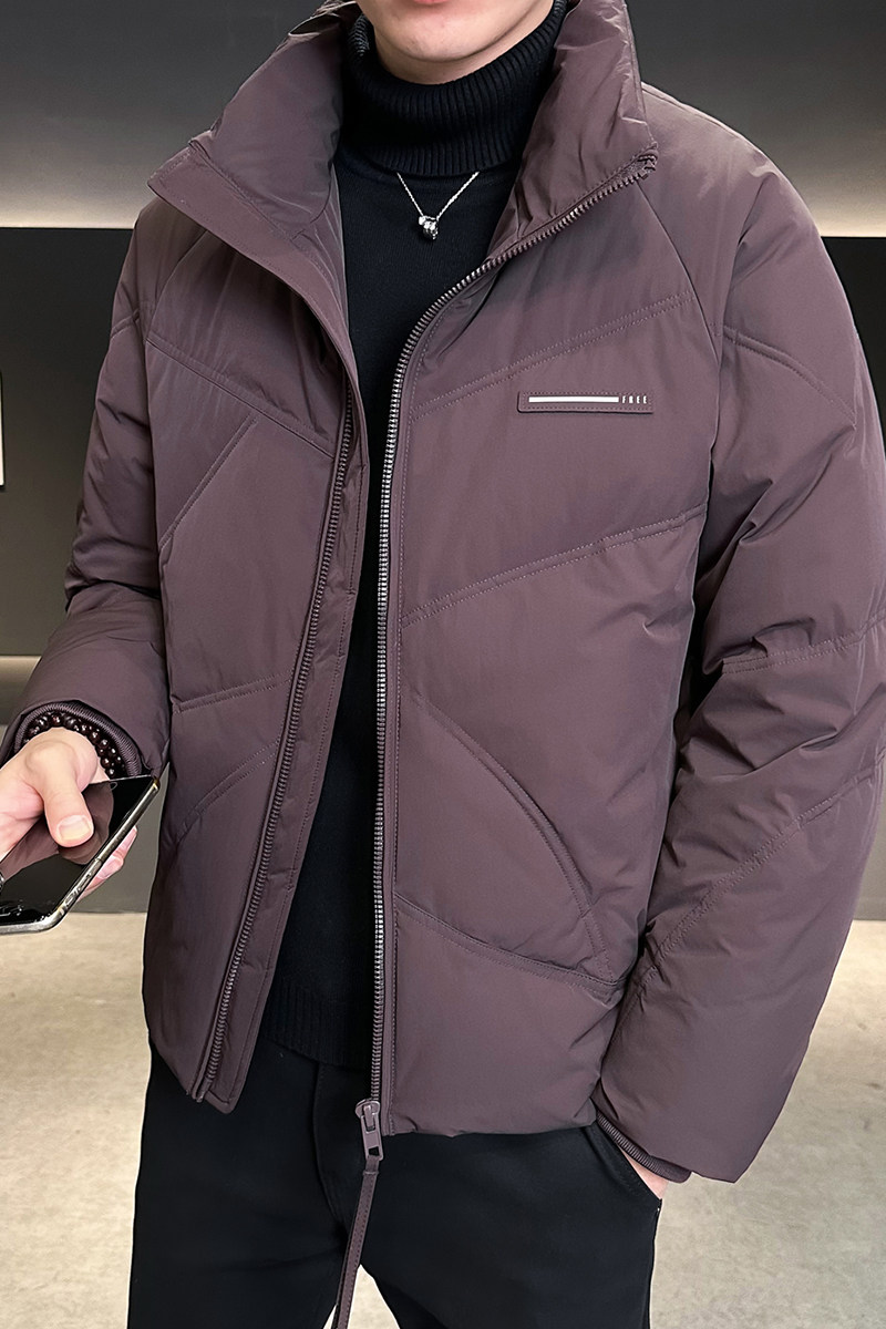 设计师款立领羽绒服男冬季外套3958-P190,男装羽绒服,电商D236（原A051）