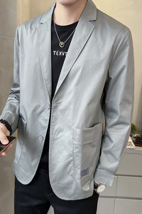 2025秋装休闲西装男装小西服便服单西631-P105图片