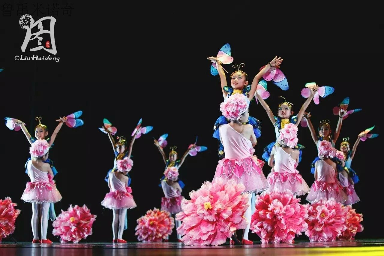 还我一片蓝天演出服六一儿童节舞蹈服蝴蝶纱裙表演服儿童演出服