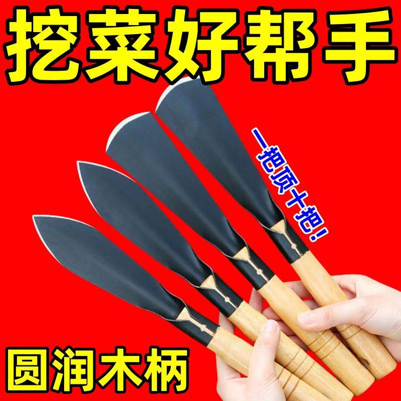 种菜神器锰钢小铲子种花养花种菜工具挖野菜花卉除草挖土铁铲铁锨,鲜花速递/花卉仿真/绿植园艺,铲子,淘宝优惠券,粉丝福利购,淘宝优惠卷