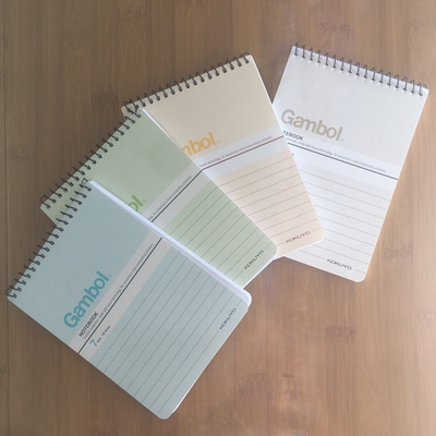 渡边a650页竖翻学生抄写本