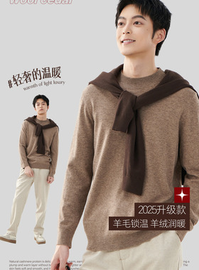 彩衣萱25秋冬男士国民毛衫羊绒蛋白202511二分领毛衫套头宽松百搭