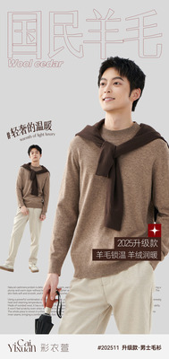 彩衣萱25秋冬男士国民毛衫羊绒蛋白202511二分领毛衫套头宽松百搭