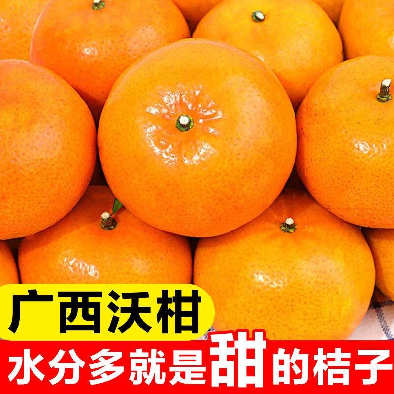 四川青见沃柑橘子新鲜纯甜水果贵妃柑桔子孕妇柑橘2/5