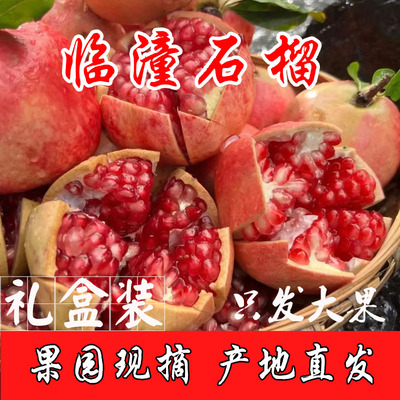 【顺丰】软籽陕西临潼石榴骊山红礼盒贵妃红精品石榴当季新鲜