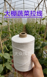 大棚吊秧绳蔬菜黄瓜吊蔓绳豆架线绳番茄西红柿农用抗老化耐高温线