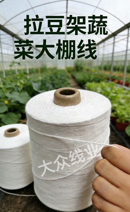 大棚专用果蔬绑蔓绳·圣女果、豆角、茄子、辣椒专用拉枝升级版