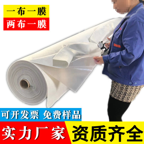 复合土工膜防渗膜两布一膜厂家