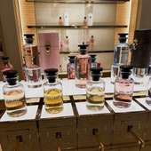 午后漫游风中玫瑰加州梦浩瀚萨博玫瑰暗涌闪耀恋印破晓香水小样