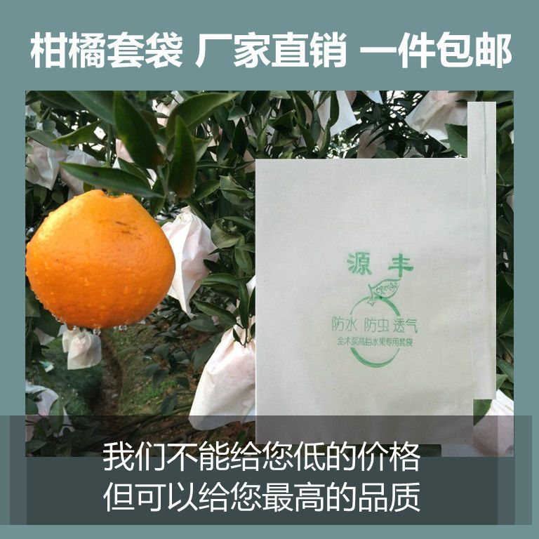 红美人套袋橘子专用套袋番石榴茂谷柑防晒纸袋橙子柑橘防水袋防寒