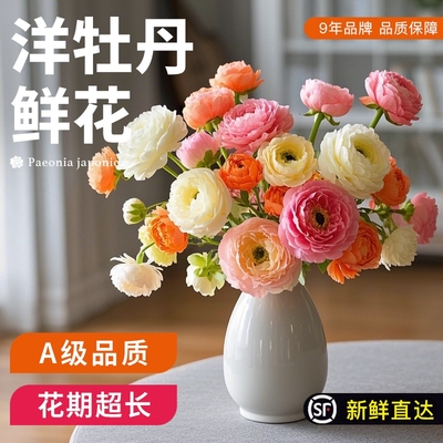 花点时间洋牡丹鲜花品质专享