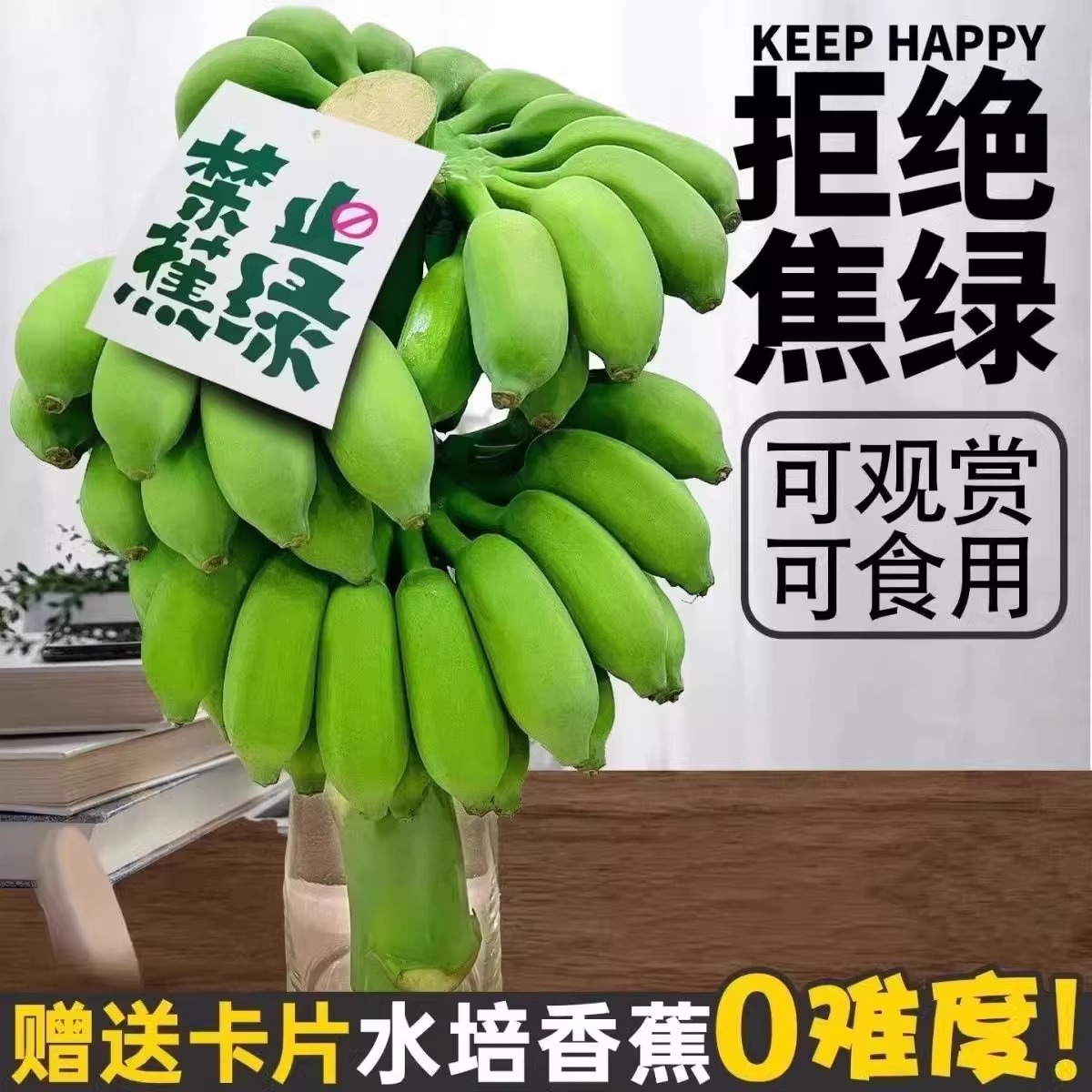 水培香蕉小米蕉禁止蕉虑现切插花拒绝蕉绿桌面绿植办公室观赏插花