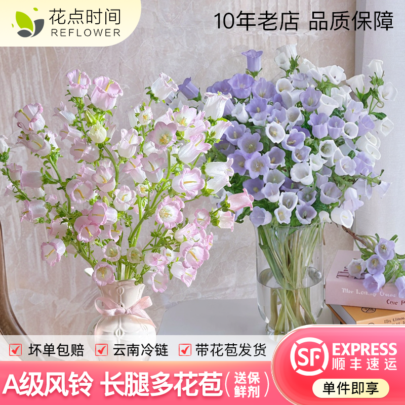 花点时间风铃花草鲜花紫色粉色云南直发花束插瓶水养铃兰鲜切花