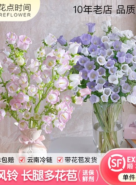 花点时间风铃花草鲜花紫色粉色云南直发花束插瓶水养铃兰鲜切花