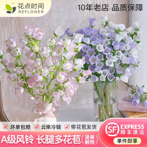 花点时间风铃花草鲜花紫色粉色云南直发花束插瓶水养铃兰鲜切花