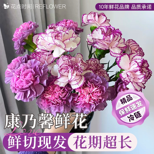 花点时间紫色康乃馨鲜花