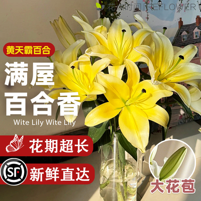 花点时间黄天霸百合花