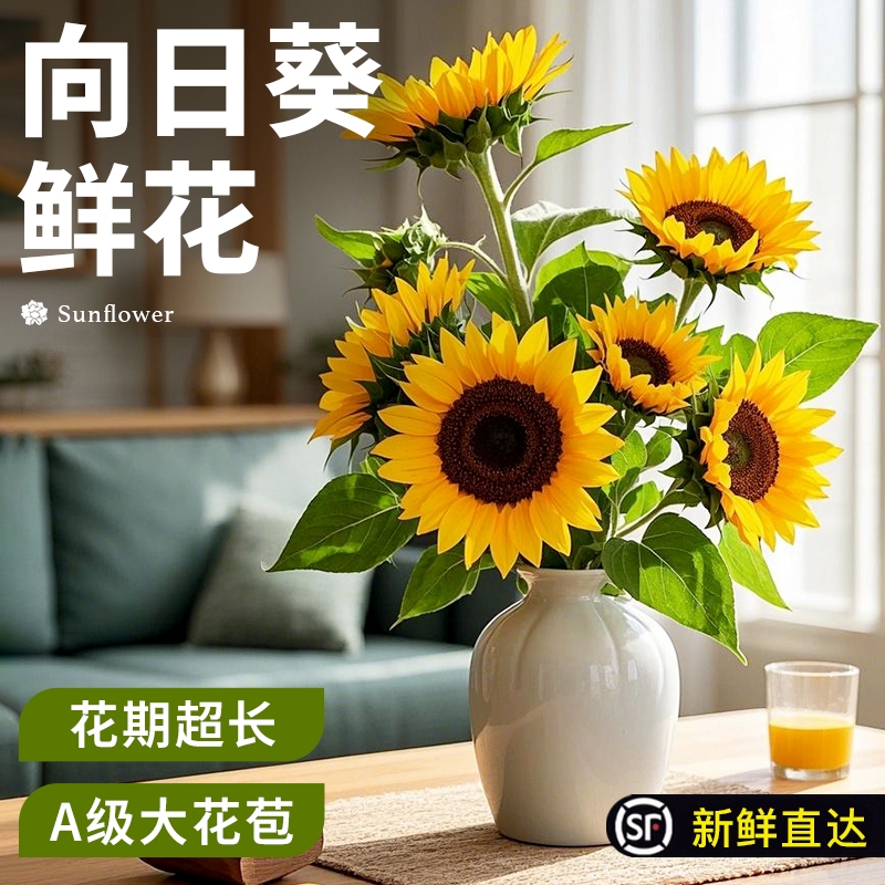 花点时间向日葵鲜切花