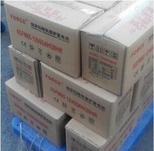 强势蓄电池FORCE全国包邮 强势6GFM38报价 强势12V38AH蓄电池