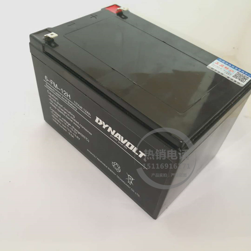 海利CP-60增氧气泵原厂配套DYNAVOLT蓄电池电瓶6-FM-12H 12V12AH