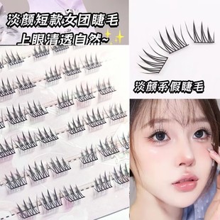 磨尖根根分明 女团爱豆ACE上睫毛单簇分段网红化妆师同款 短款 韩式