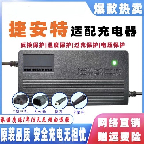 适用于捷安特电瓶车电动车充电器48v通用48V12AH20AH130/133/133S
