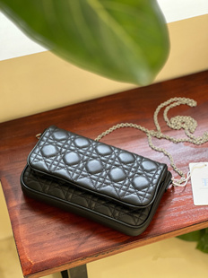 LEXI 进口胎羊皮woc全钢五金链条小包里外全皮女包绣花单肩斜挎包