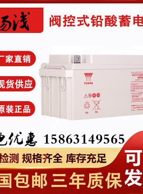 YUASA汤浅蓄电池NP100-12V100AH200A150A120A65A38A24A17A7AH电源