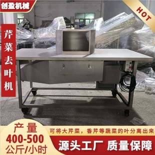 芹菜去叶机大型不锈钢除叶机长条蔬菜去菜叶设备芹菜香芹摘叶机
