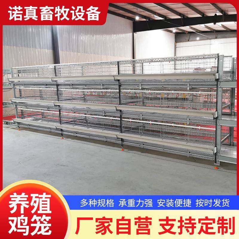 小层叠自动化蛋鸡笼清粪系统自动料线热镀锌养殖设备厂家,农机/农具/农膜,农用防护器具,淘宝优惠券,粉丝福利购,淘宝优惠卷