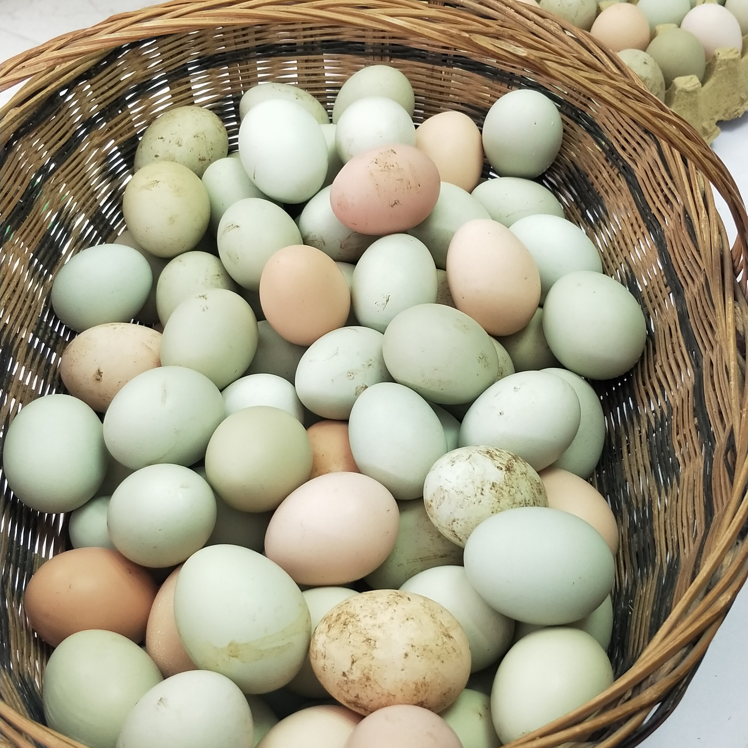 湖北宜昌特产农村散养土鸡蛋山鸡蛋50个装