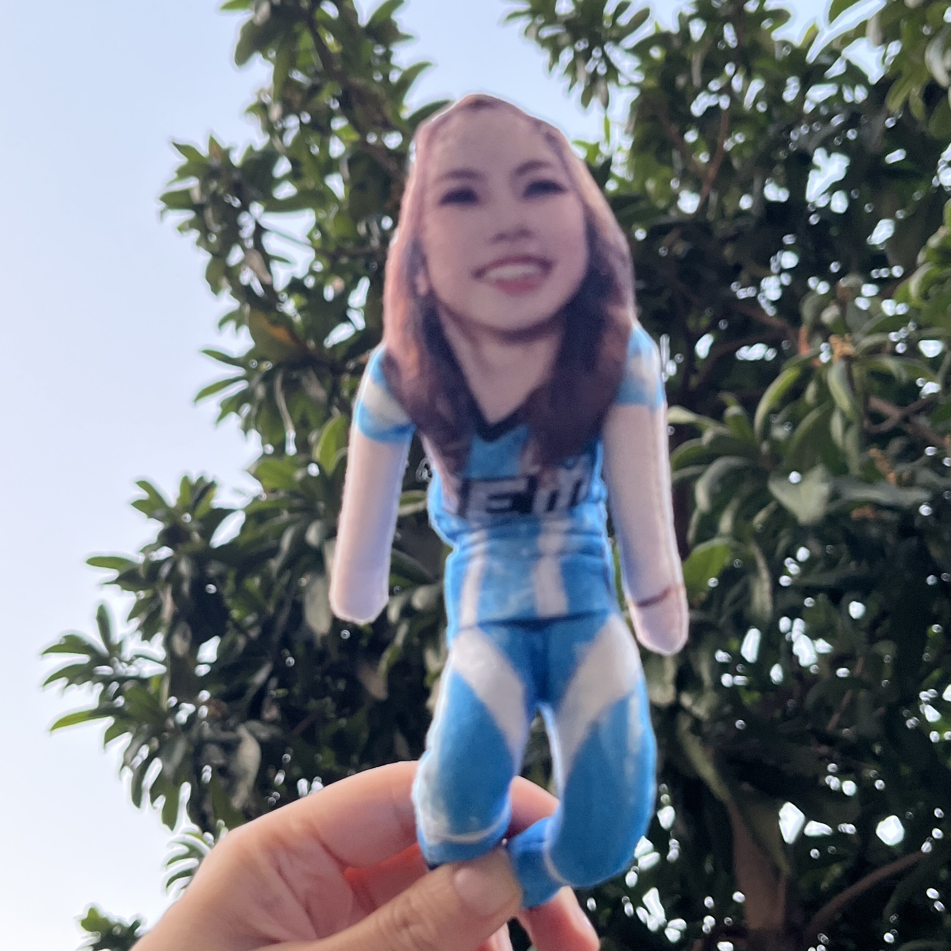 邓紫棋老鼠干玩偶全骨架随意凹造型四肢可分离周边铁丝娃娃周边