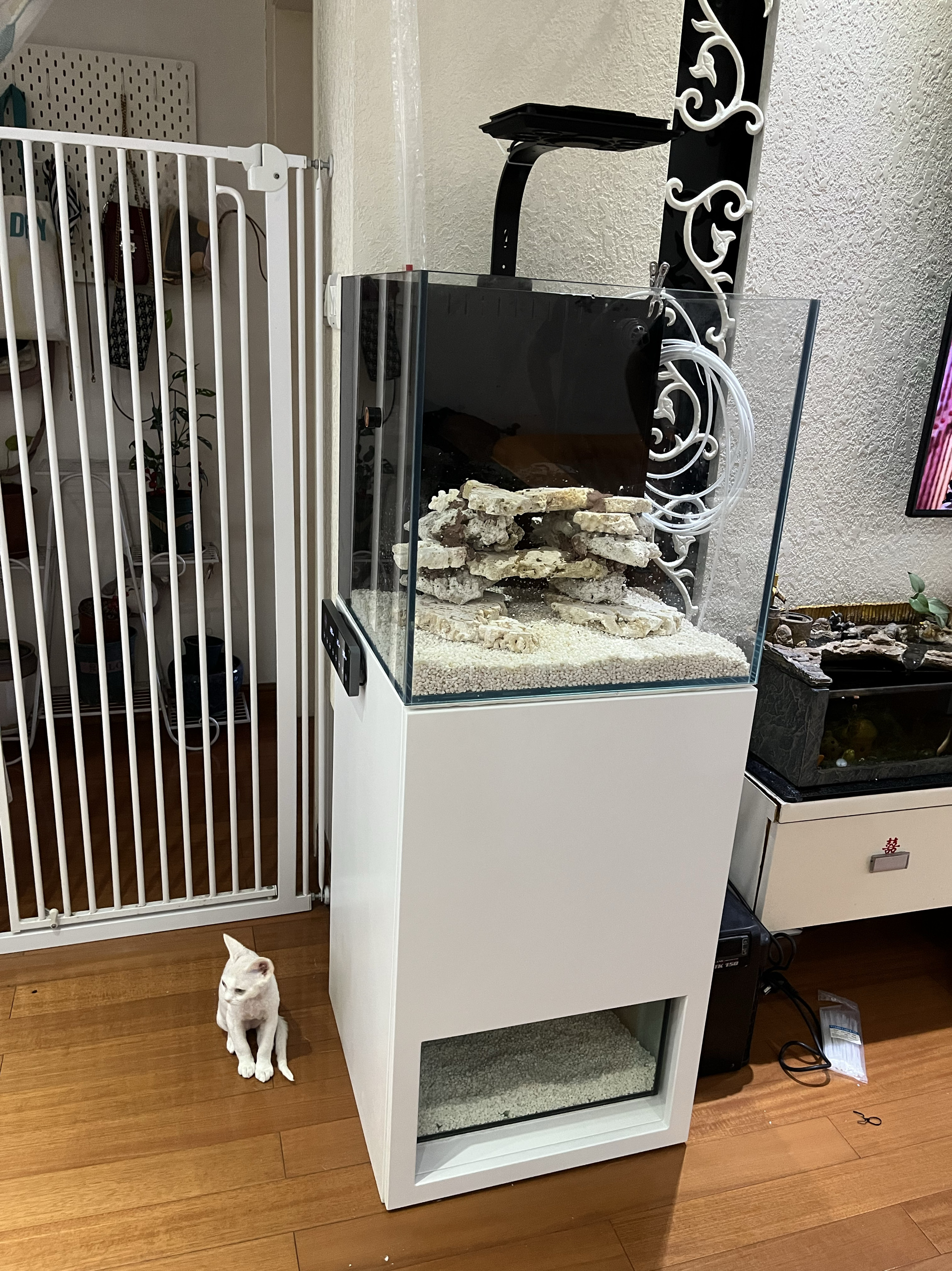 45底滤底滤双子底滤太极海缸多观赏鱼缸海缸特价上海定制海水鱼缸