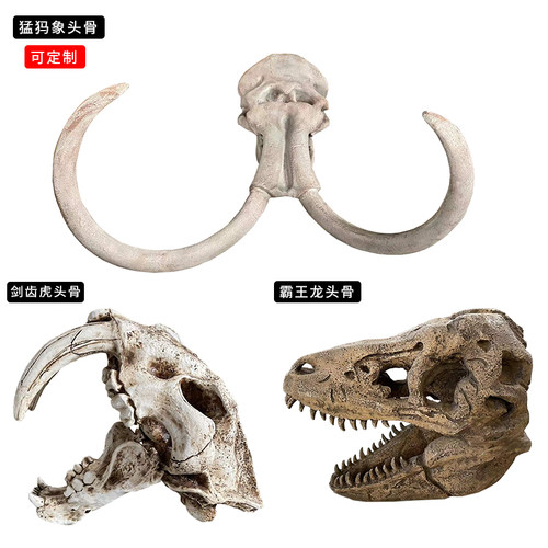 猛犸象剑齿虎霸王龙头骨动物标本