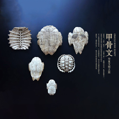 甲骨文摆件教学道具标本儿童壁饰