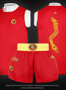 儿童男款成人散打服搏击短裤龙服训练比赛拳击服装