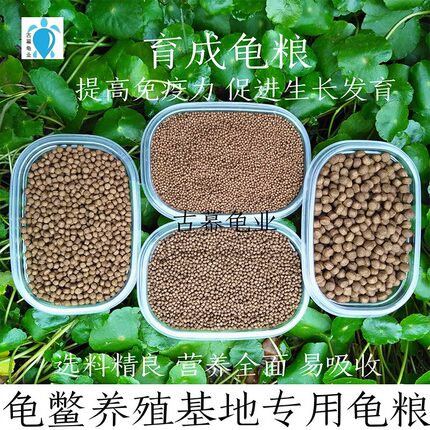 乌龟饲料龟鳖养殖场自制龟粮选料精良促进生长增强体质全龟系适用