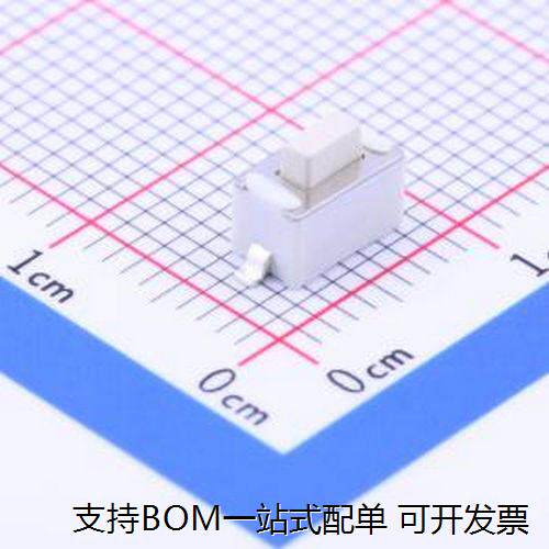 1TS002B-185CT6*3.立贴