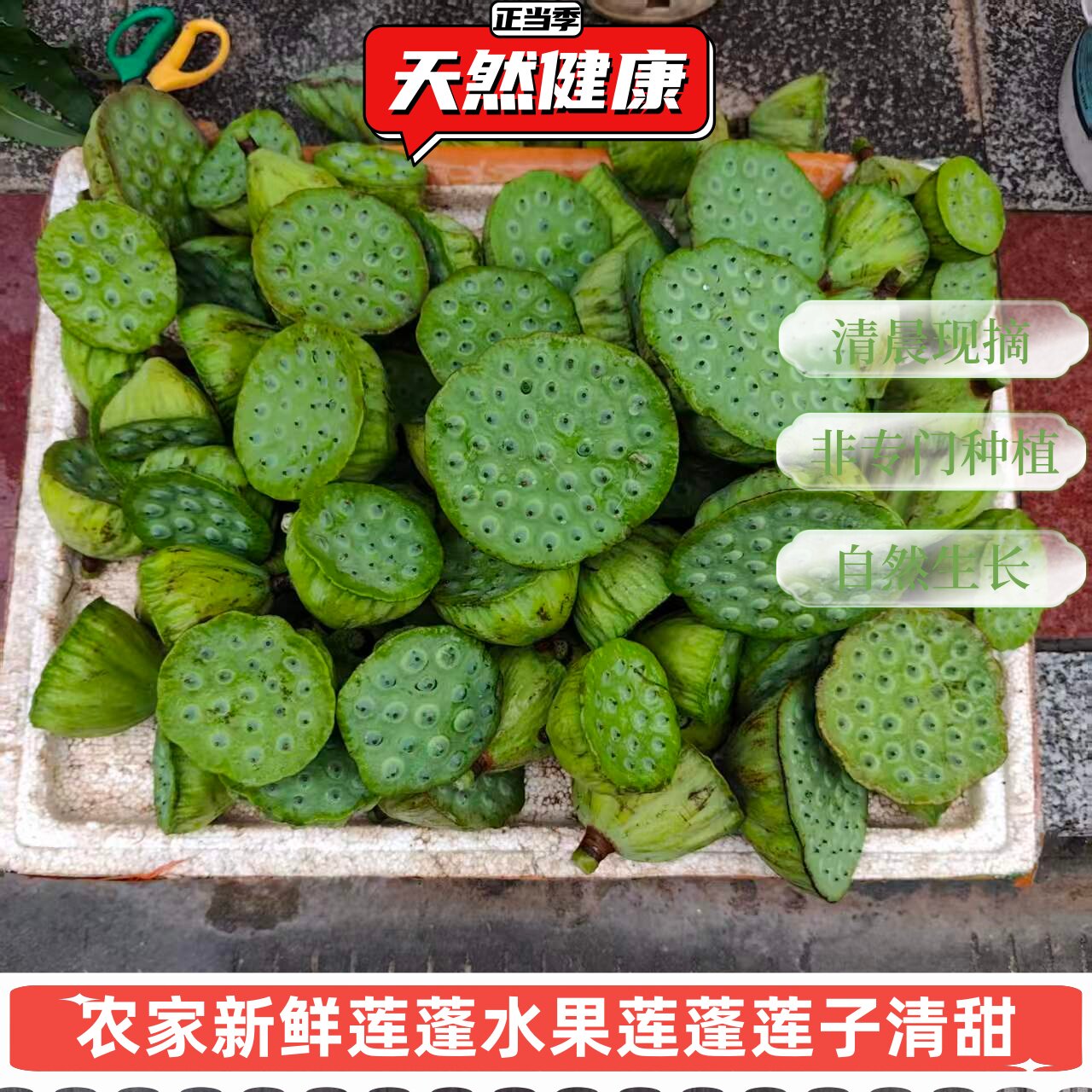 农家新鲜莲蓬水果莲蓬农家现采天然无狠活生莲子水果零食孕妇清甜