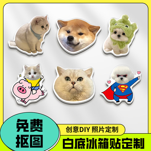亚克力冰箱贴定制照片宠物小猫咪狗狗立体高级感治愈系磁铁贴定做