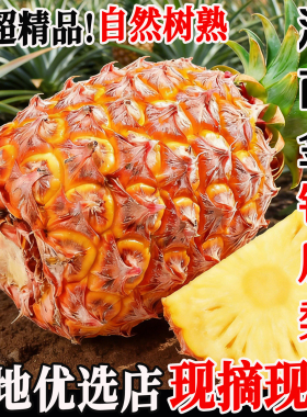 正宗海南金钻凤梨新鲜大果树上自然熟多汁超甜不需挖眼可手撕水果