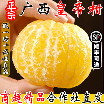 2025广西皇帝柑大果当季10斤新鲜贡柑橘桔子水果时令整箱蜜桔现摘