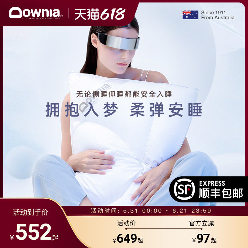 DOWNIA羽绒枕95白鹅绒枕头 立体3D分区回弹护颈枕