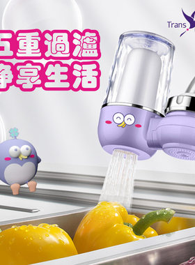 新品水龙头过滤器TransDelight