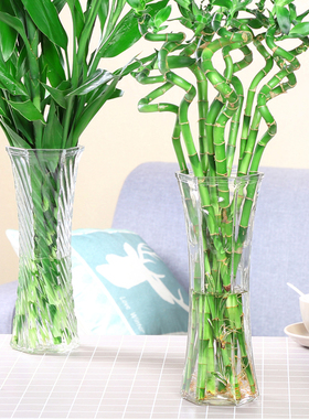 简约大号透明六角玻璃花瓶水培百合富贵竹鲜花插花瓶客厅家用摆件