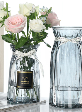 【二件套】简约玻璃花瓶透明水养鲜花玫瑰餐桌插花瓶客厅装饰摆件