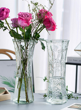 北欧特大号玻璃花瓶透明家用水养富贵竹百合干花插花花瓶客厅摆件
